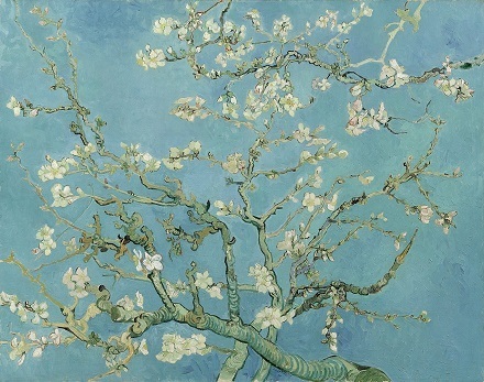 02 Almond Blossom.jpg