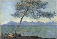 03 Antibes（愛媛）.jpg