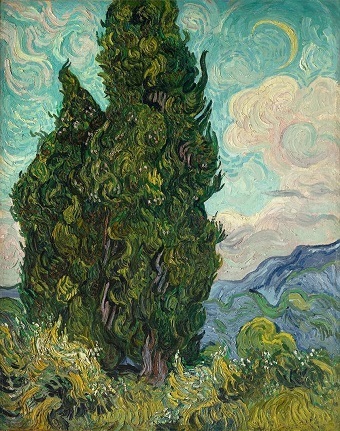 05 Cypress.jpg