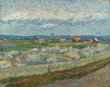 05 Peach Trees in Blossom.jpg