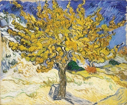 07 Mulberry.jpg