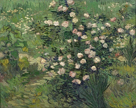12 Roses.jpg
