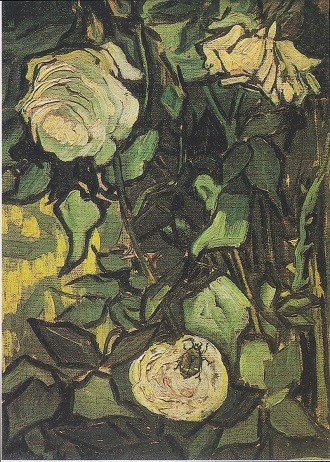 13 Wild Roses and Beetle.jpg