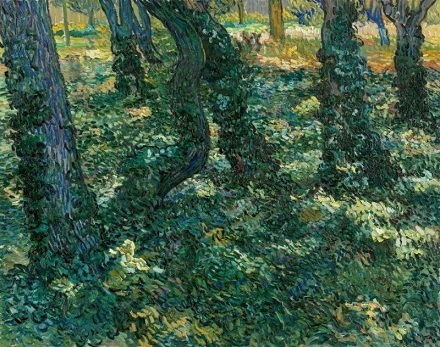 16 Undergrowth.jpg
