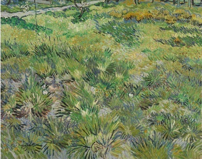 17a Meadow.jpg