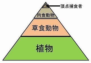 エルトンのピラミッド.jpg