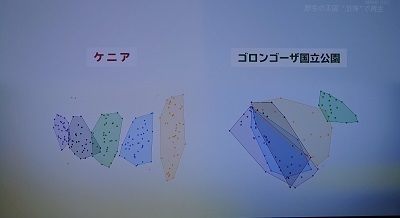 ゴロンゴーザ 2.jpg
