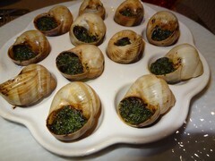 ディジョン料理・エスカルゴ.jpg