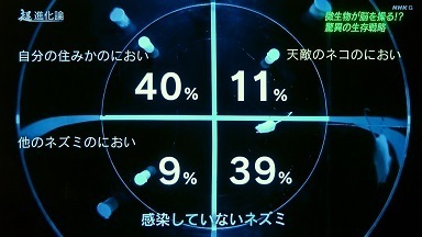 トキソプラズマ１ - 感染していないネズミ.jpg