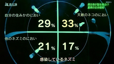 トキソプラズマ２ - 感染しているネズミ.jpg