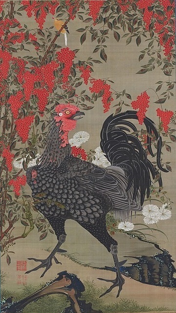 伊藤若冲 動植綵絵「南天雄鶏図」.jpg