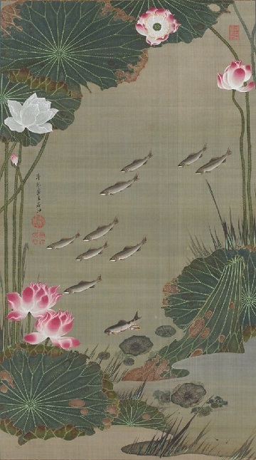 伊藤若冲 動植綵絵「蓮池遊魚図」.jpg