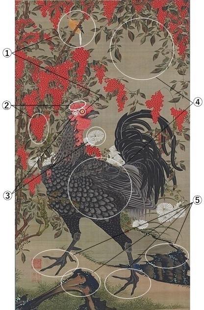 動植綵絵「南天雄鶏図」２・相似.jpg