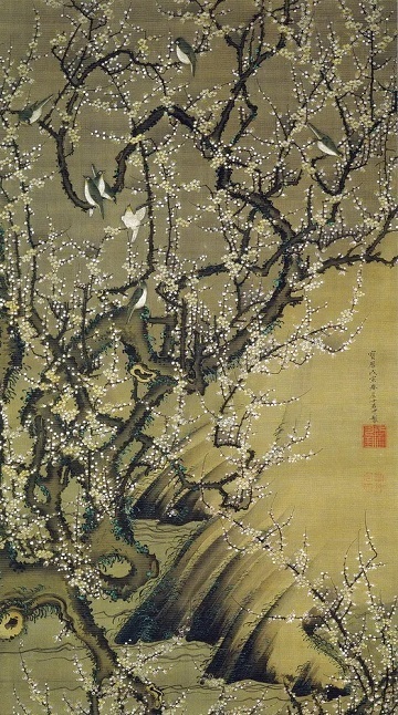 動植綵絵「梅花小禽図」.jpg