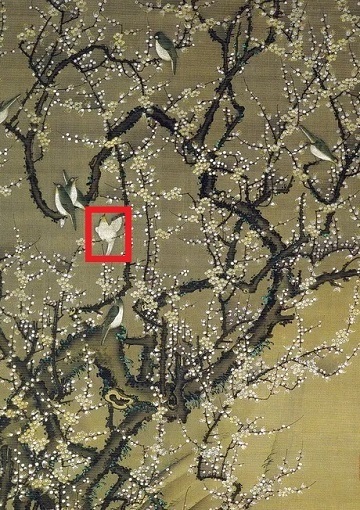 動植綵絵「梅花小禽図」鳥.jpg