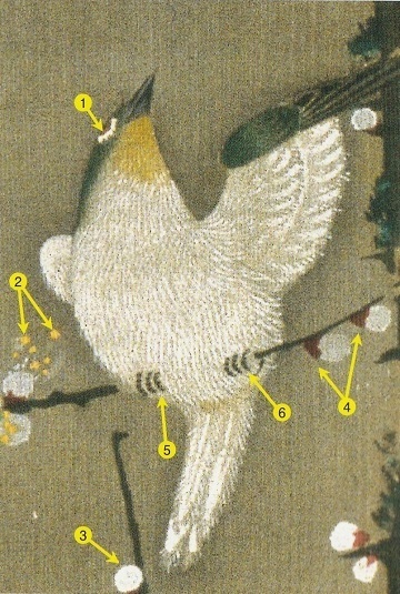 動植綵絵「梅花小禽図」鳥１.jpg
