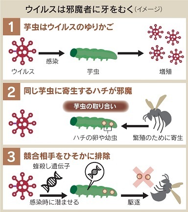 図１.jpg
