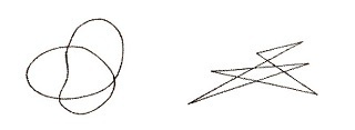 図１：マルマとタケテ.jpg