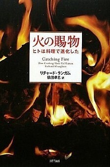 火の賜物.jpg