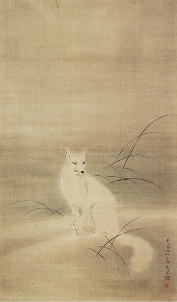 白狐図.jpg