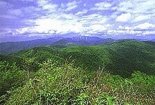 白神山地１.jpg