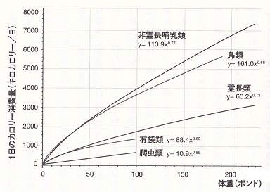 運動しても痩せないのはなぜか-2.jpg