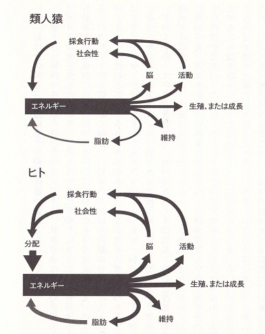 運動しても痩せないのはなぜか-3.jpg