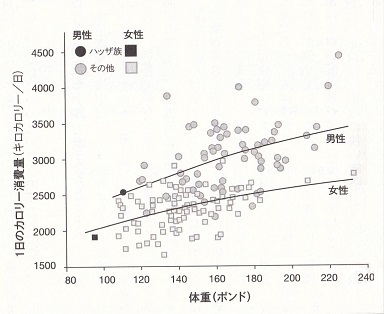運動しても痩せないのはなぜか-4.jpg