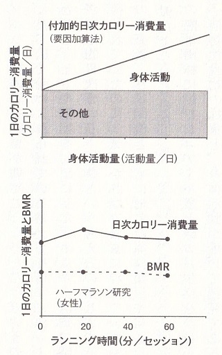 運動しても痩せないのはなぜか-5.jpg
