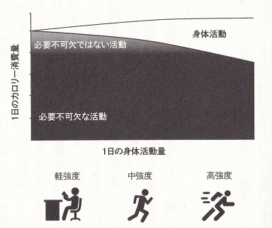 運動しても痩せないのはなぜか-6.jpg