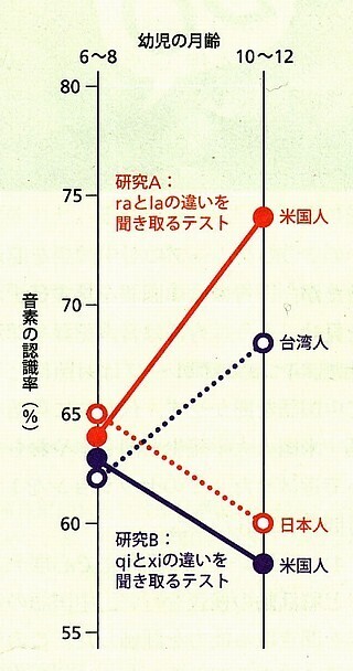 音素の認識率.jpg