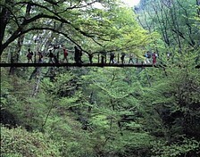 高尾山.jpg