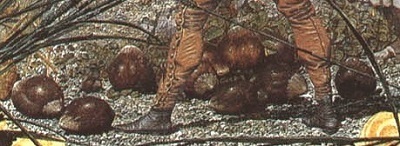 FFMS19b - Hazel nuts.jpg