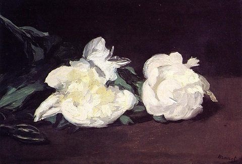 Manet-StillLife-05-Peony.jpg