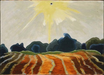 Morning Sun - Dove.jpg