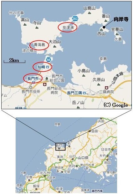 No.21-2 仙崎・青海島.jpg