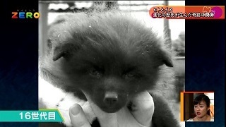 Science ZORO - Fox3.jpg