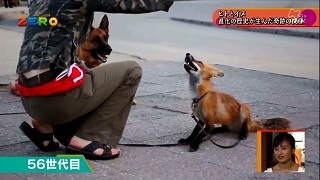 Science ZORO - Fox4.jpg