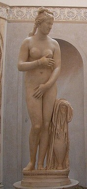 VenusCapitorino.jpg